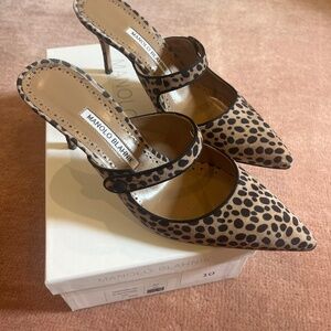 Manola Blahnik Leopard